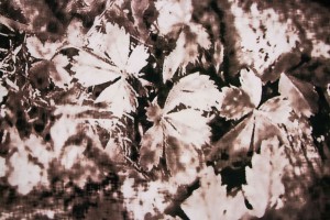 Ткань шелк Италия (креп, шелк 100%, купон 2,37 м,  шоколадный, абстракция листья, шир. 1,40 м)