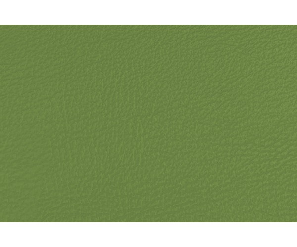 Искусственная кожа Stanford Green (полиуретан, зеленый, мелкая фактура, шир. 1.4 м)